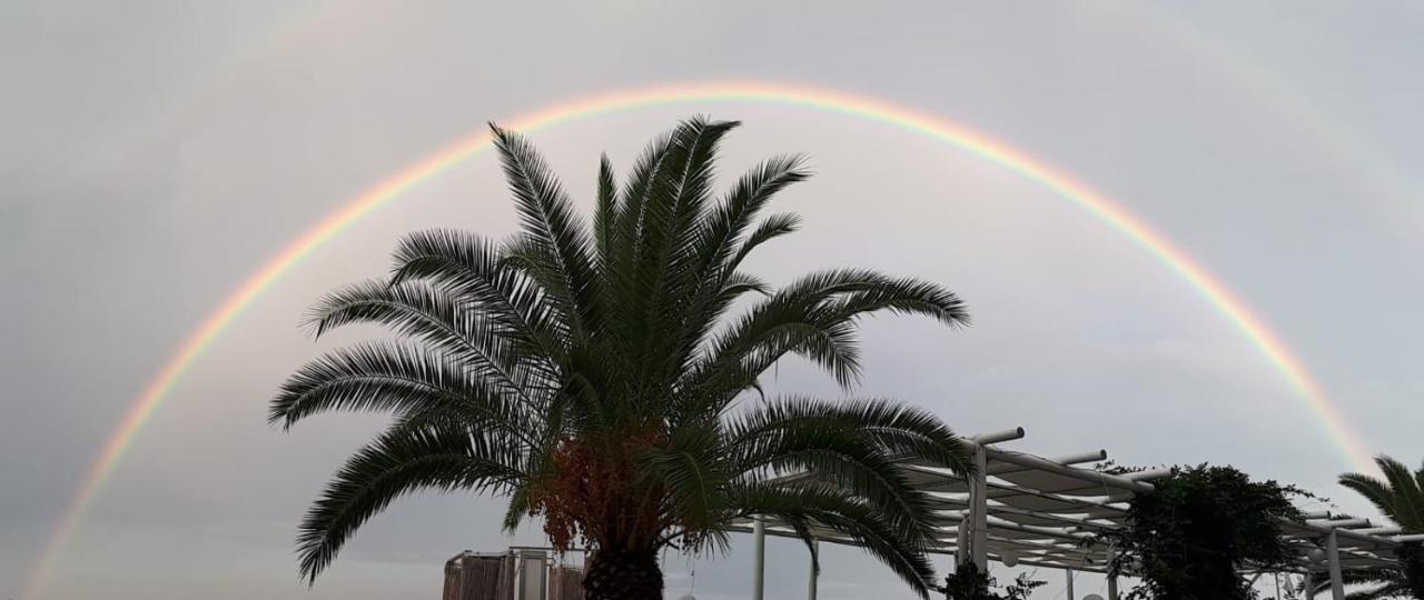 Hotel San Domenico 3*